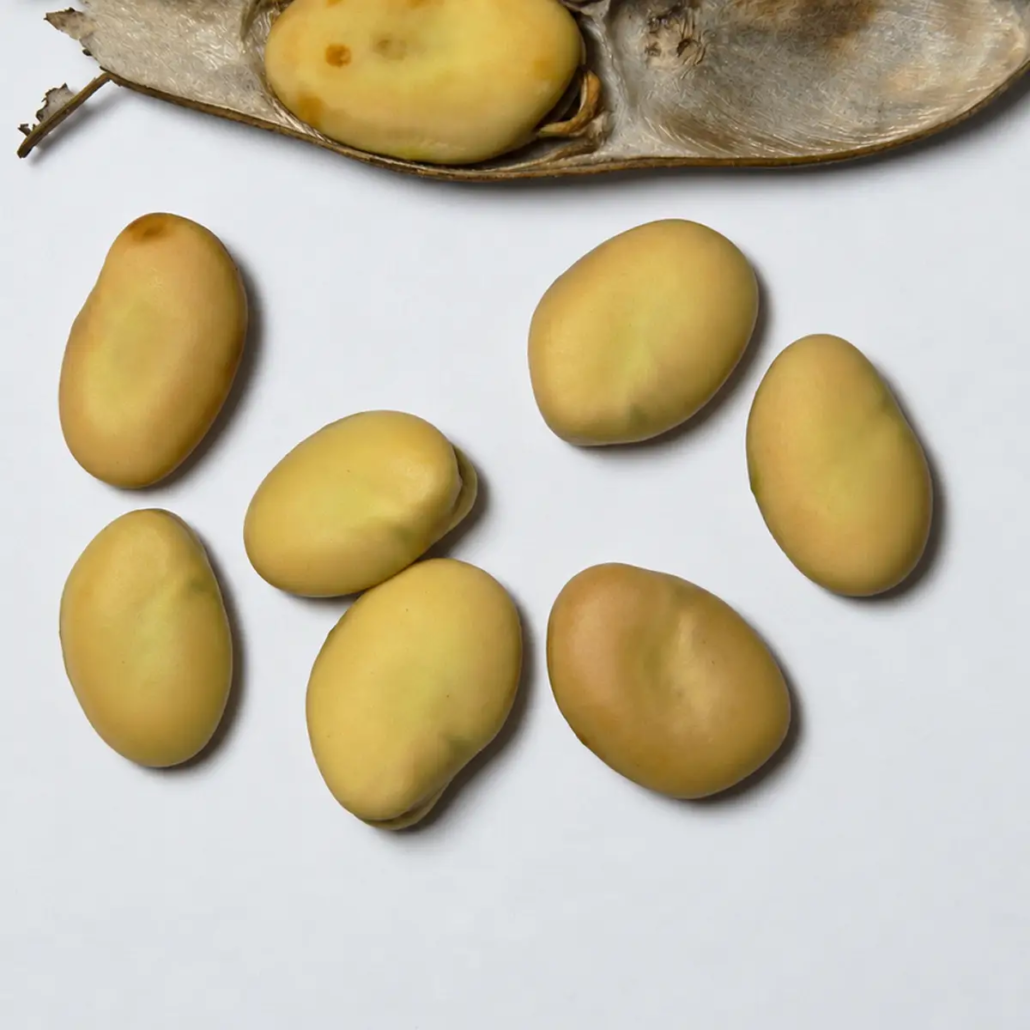 Hülsenfrüchte